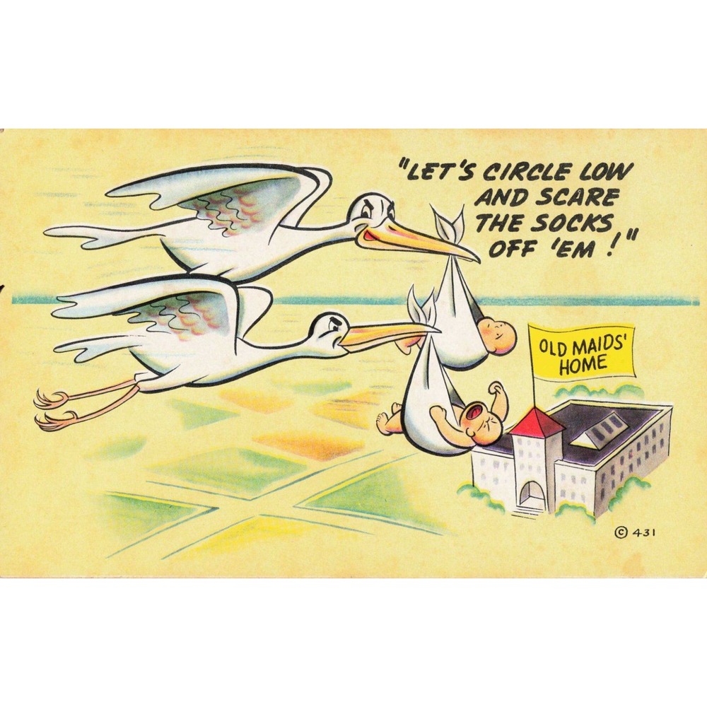 Vintage Noble Humor Cards Postcard Storks Babies Old Maids Home Comic Litho 431
